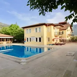 Güneş Türkiye