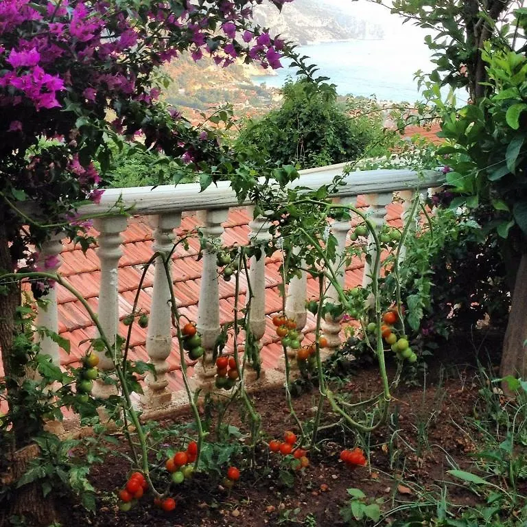 Aygul Hotel Oludeniz